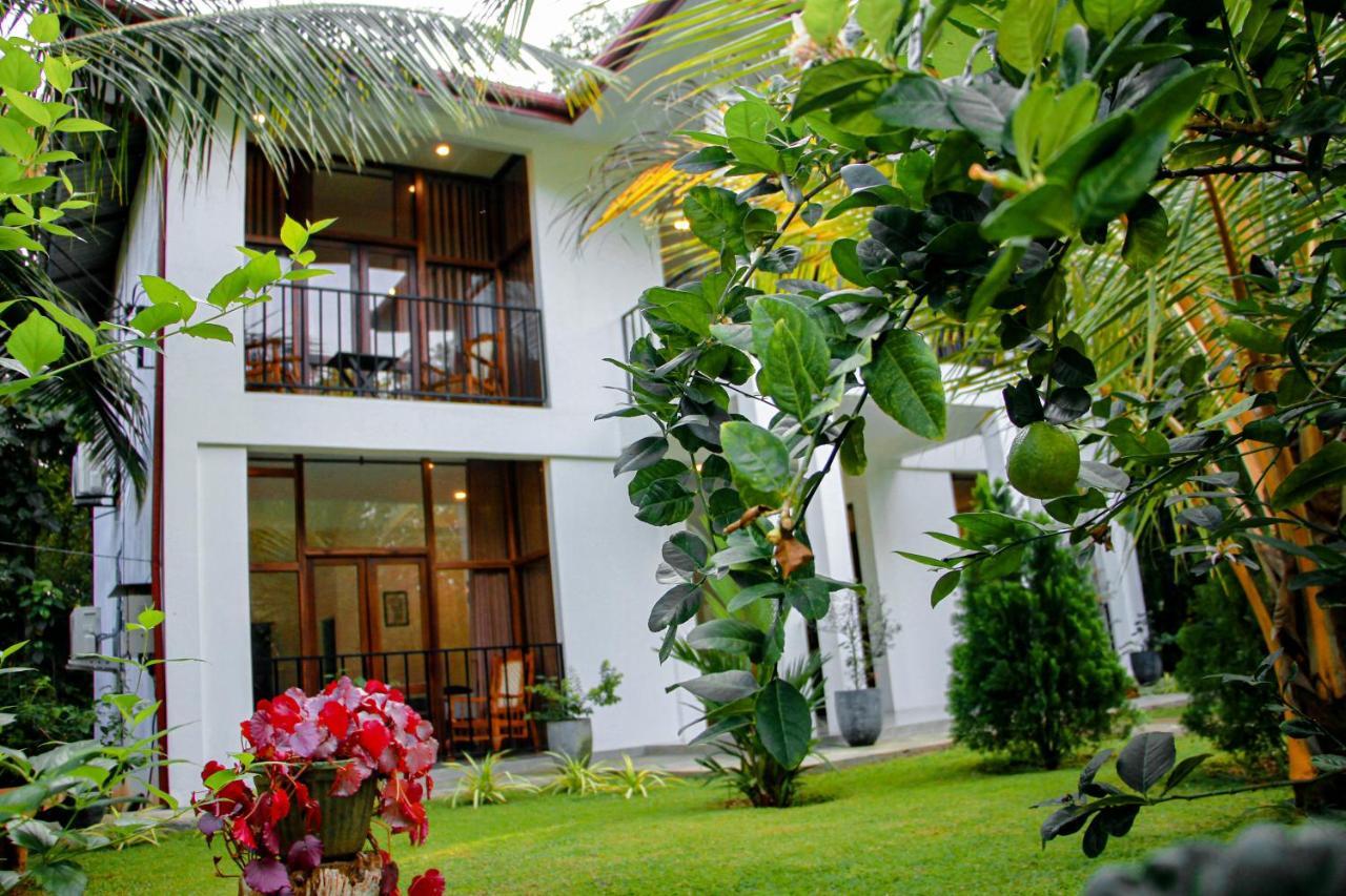 Manike Lodge هاباران المظهر الخارجي الصورة