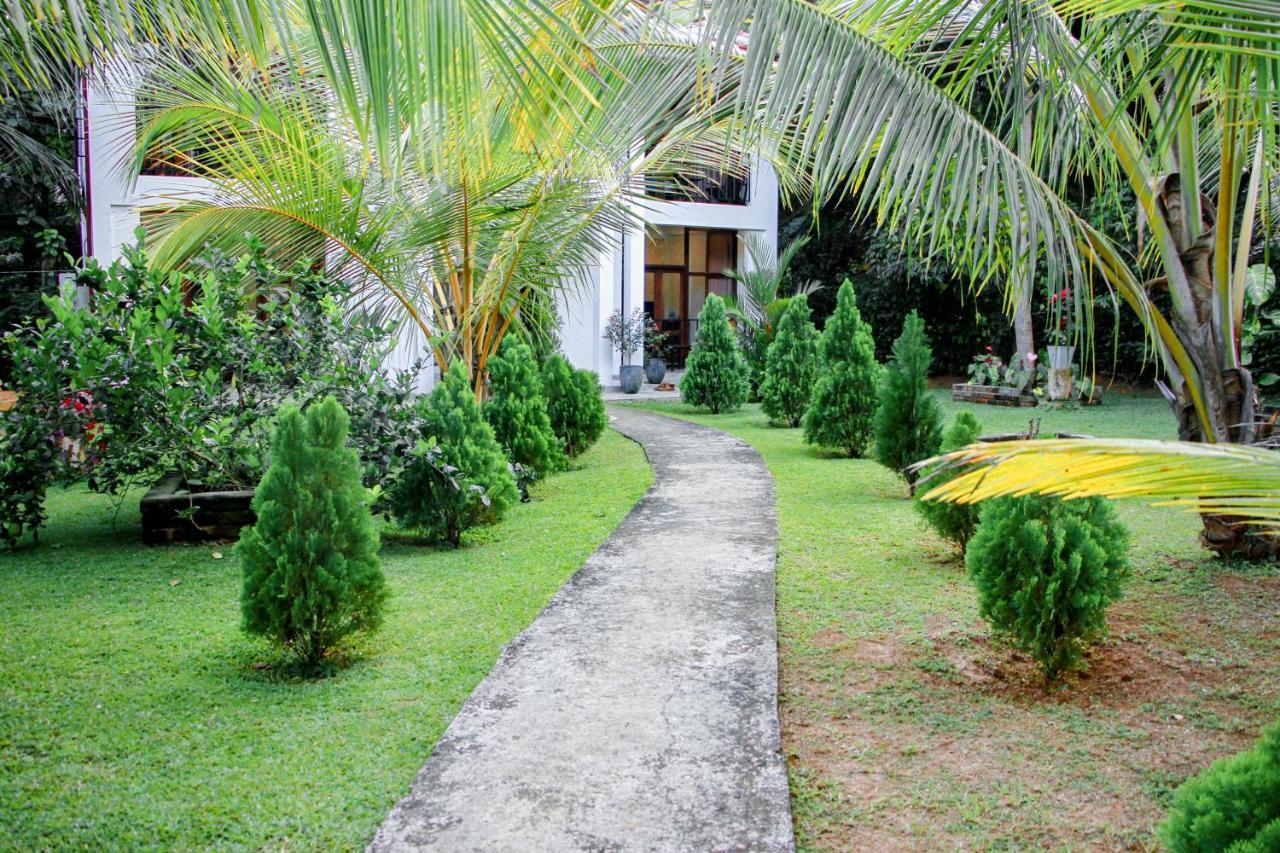 Manike Lodge هاباران المظهر الخارجي الصورة