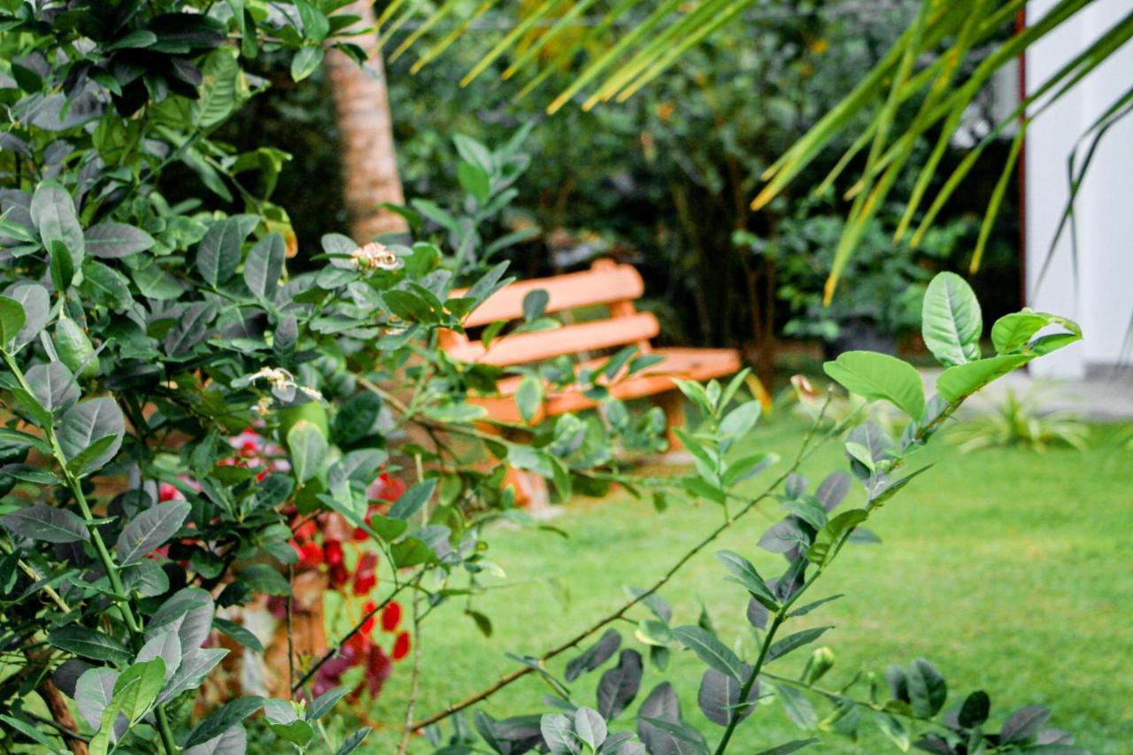 Manike Lodge هاباران المظهر الخارجي الصورة